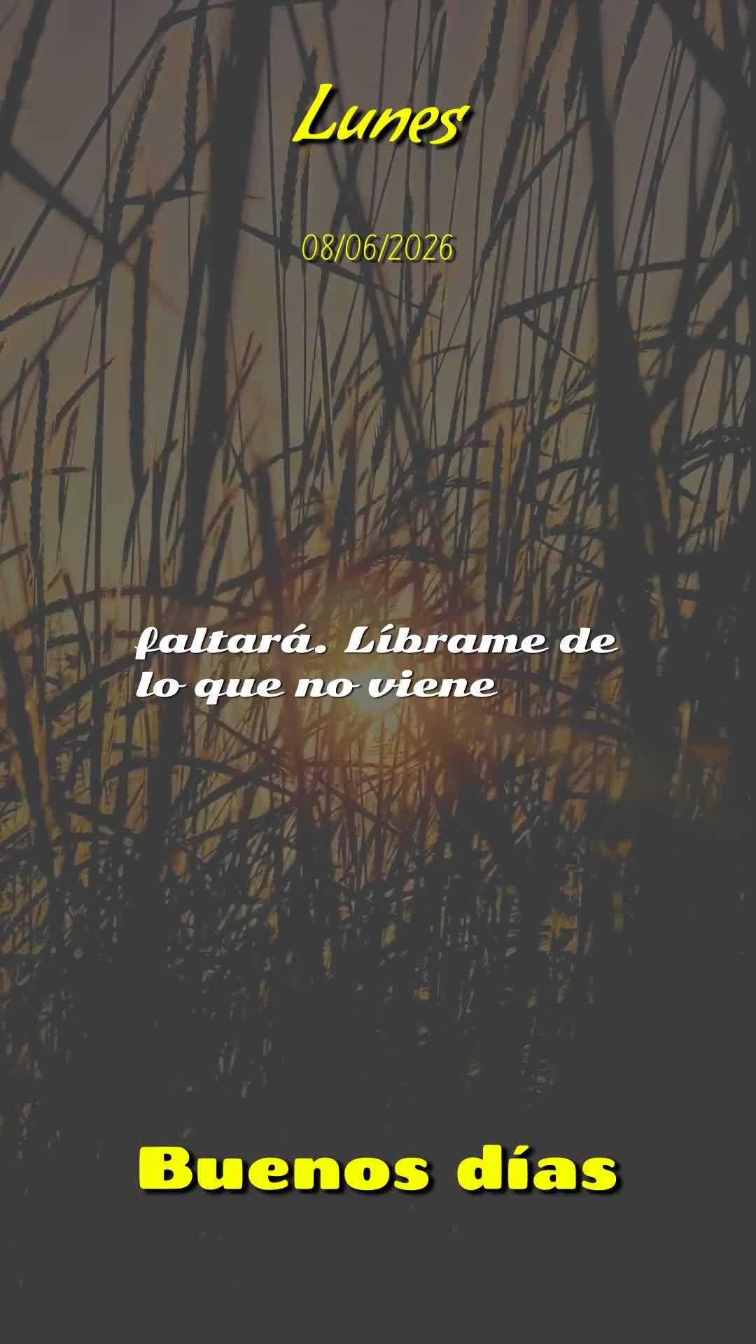 Deus, bom dia. Antes de qualquer coisa, obrigado por abrir meus olhos nesta segunda-feira, 8 de junho de 2026. Obrigado pelo privilégio de respirar de n...