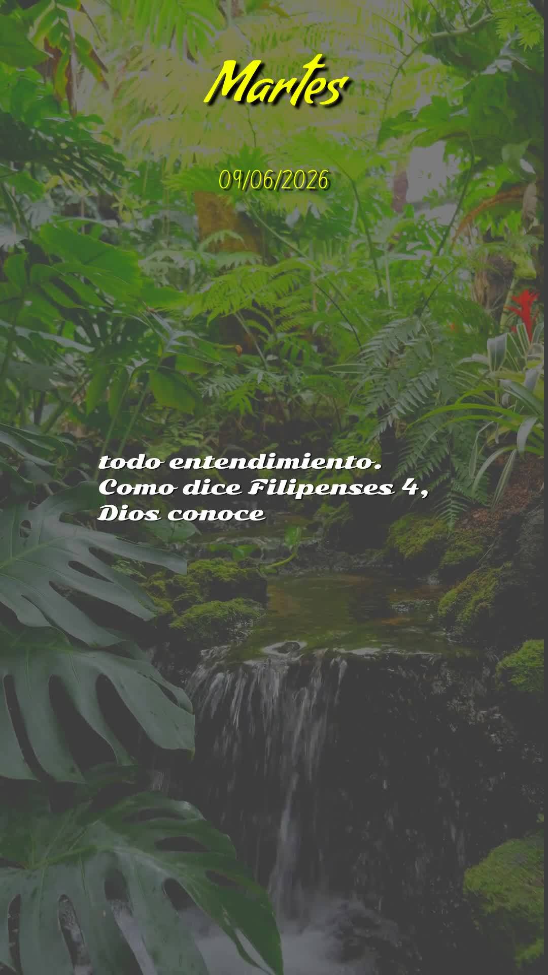 Bom dia! Hoje, nesta terça-feira, 9 de Junho de 2026, eu declaro sobre a sua vida uma bênção que vem do alto. Que o céu se abra agora e derrame sobr...