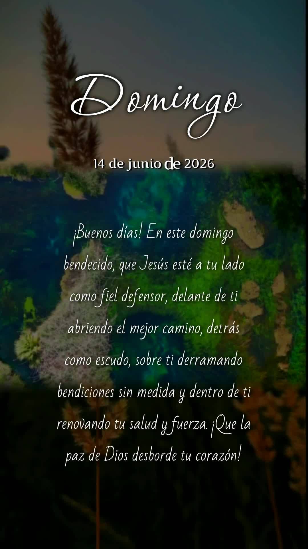 Bom dia! Neste domingo abençoado, que Jesus esteja ao teu lado como fiel defensor, à tua frente abrindo os melhores caminhos, atrás de ti como escudo,...