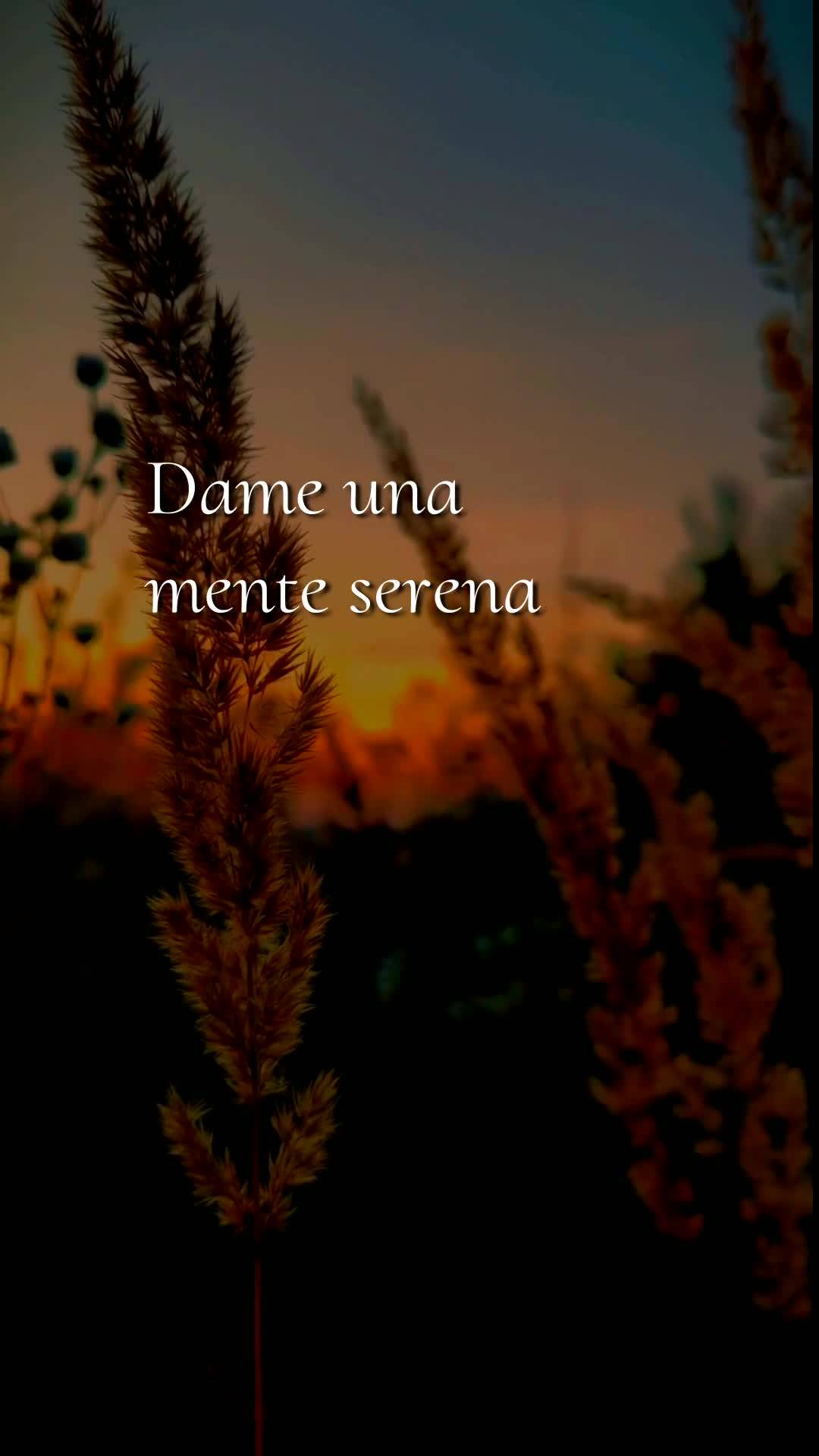 Bom dia, Jesus, meu Mestre e Senhor. Neste Domingo, 14 de Junho de 2026, mais uma manhã começa, e a Ti ofereço todas as minhas ações deste dia de de...