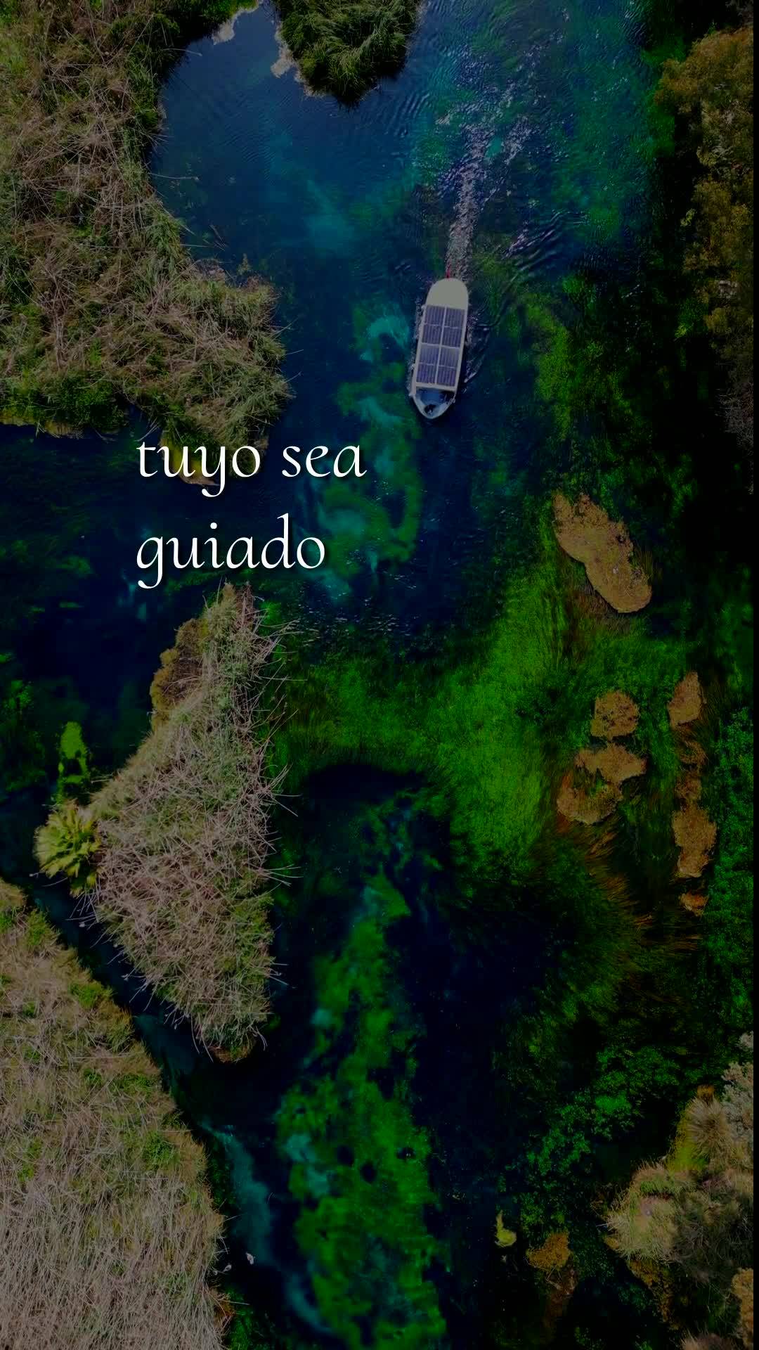 Bom dia! Nesta Segunda-feira, 15 de Junho de 2026, que Deus abençoe a sua semana e renove as suas forças. Que não lhe falte ânimo para começar, nem ...