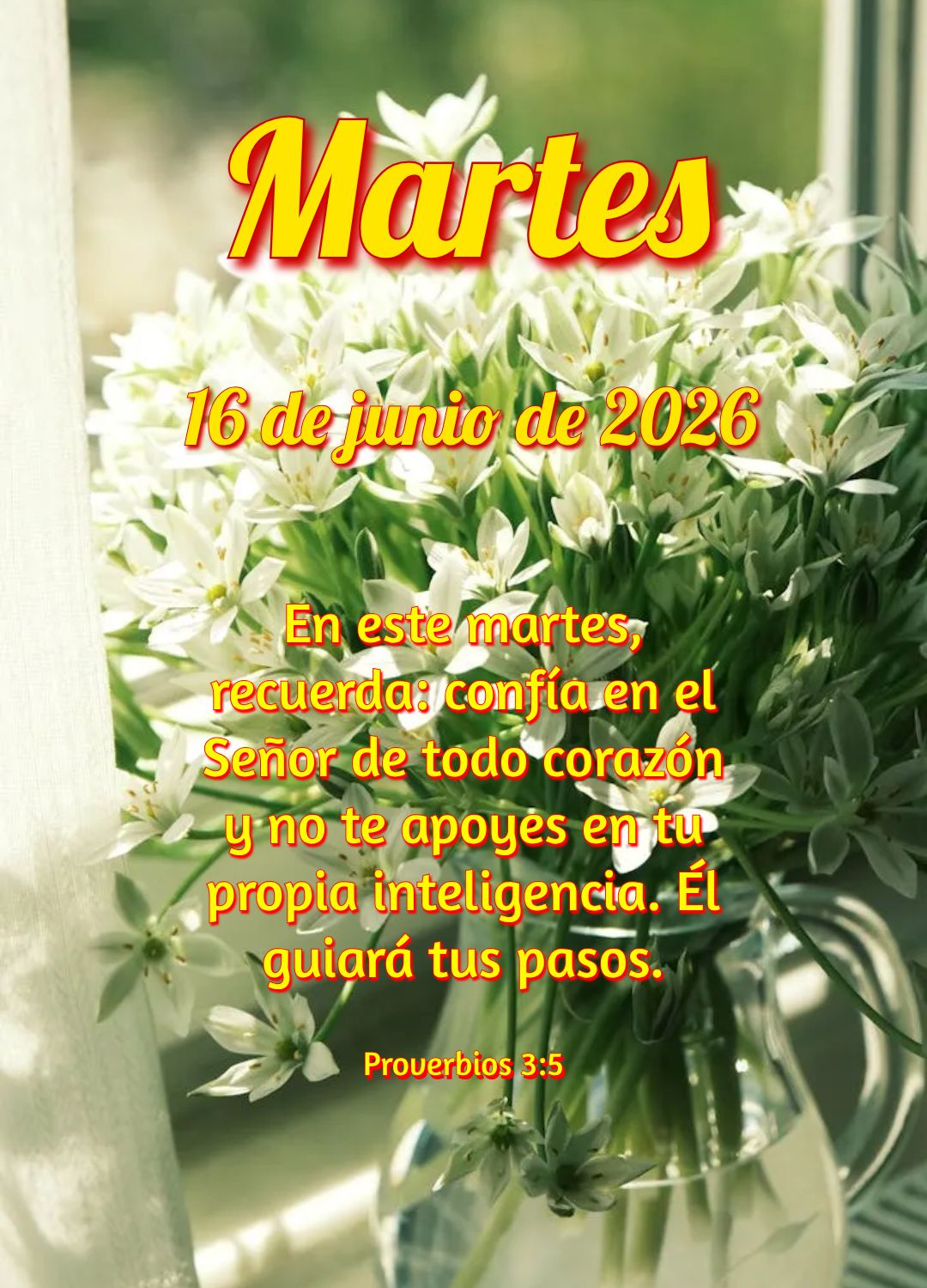Nesta terça-feira, levante-se com coragem! Deus está contigo e não te deixará cair. Não temas, pois Ele segura a tua mão. Isaías 41:10
