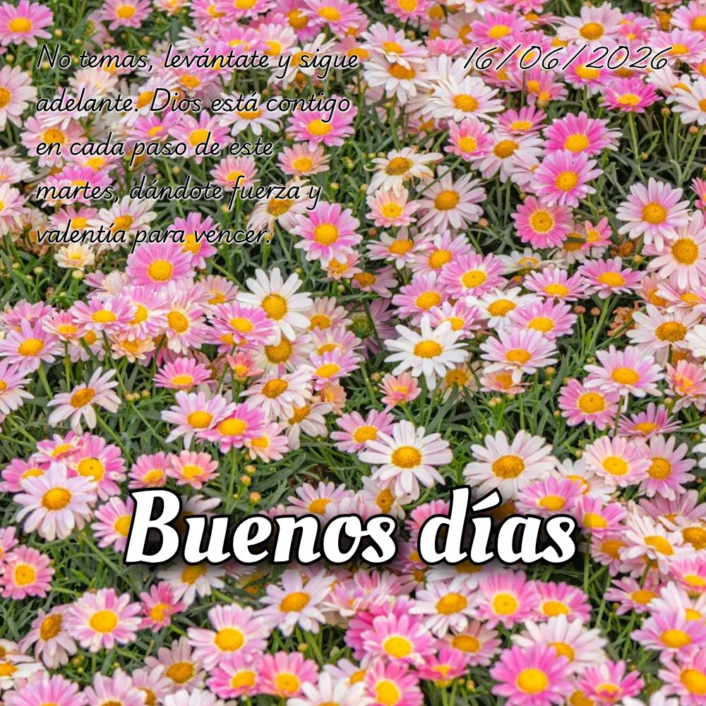 "O Senhor é o meu pastor, nada me faltará." Nesta terça-feira, descanse nessa promessa: Deus cuida de cada detalhe da sua vida. Salmos 23:1