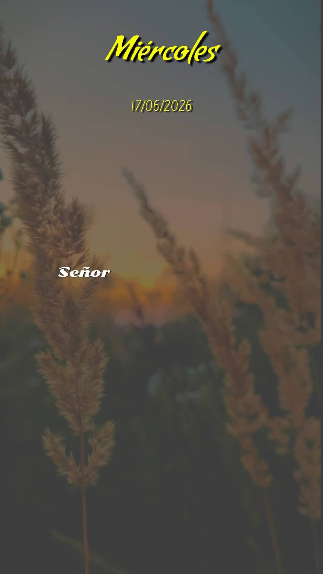 Bom dia! Nesta quarta-feira, 17 de Junho de 2026, que o céu se abra sobre a sua vida e derrame bênçãos sem medida. Que cada passo seu seja guiado pel...