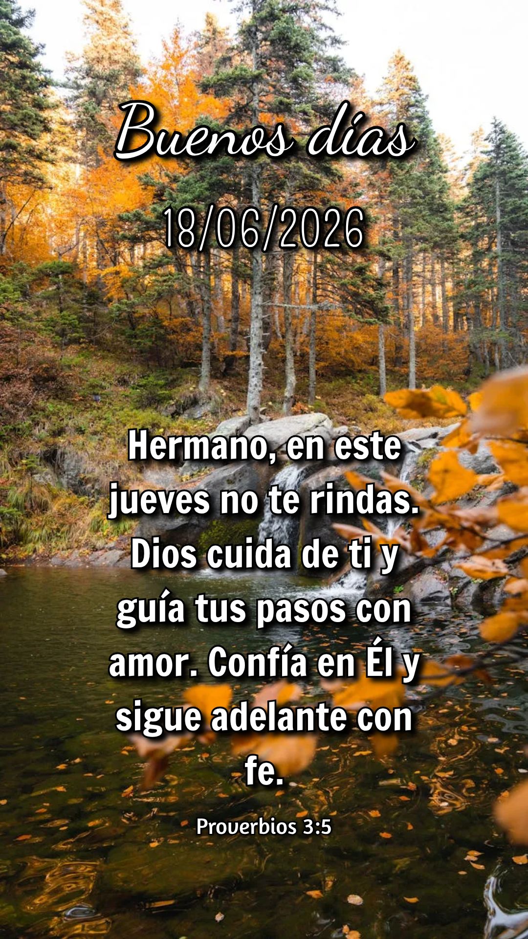 Nesta quinta-feira, levante-se com coragem! Deus está contigo, não tenha medo. Ele segura tua mão e te dá forças para seguir. Isaías 41:10