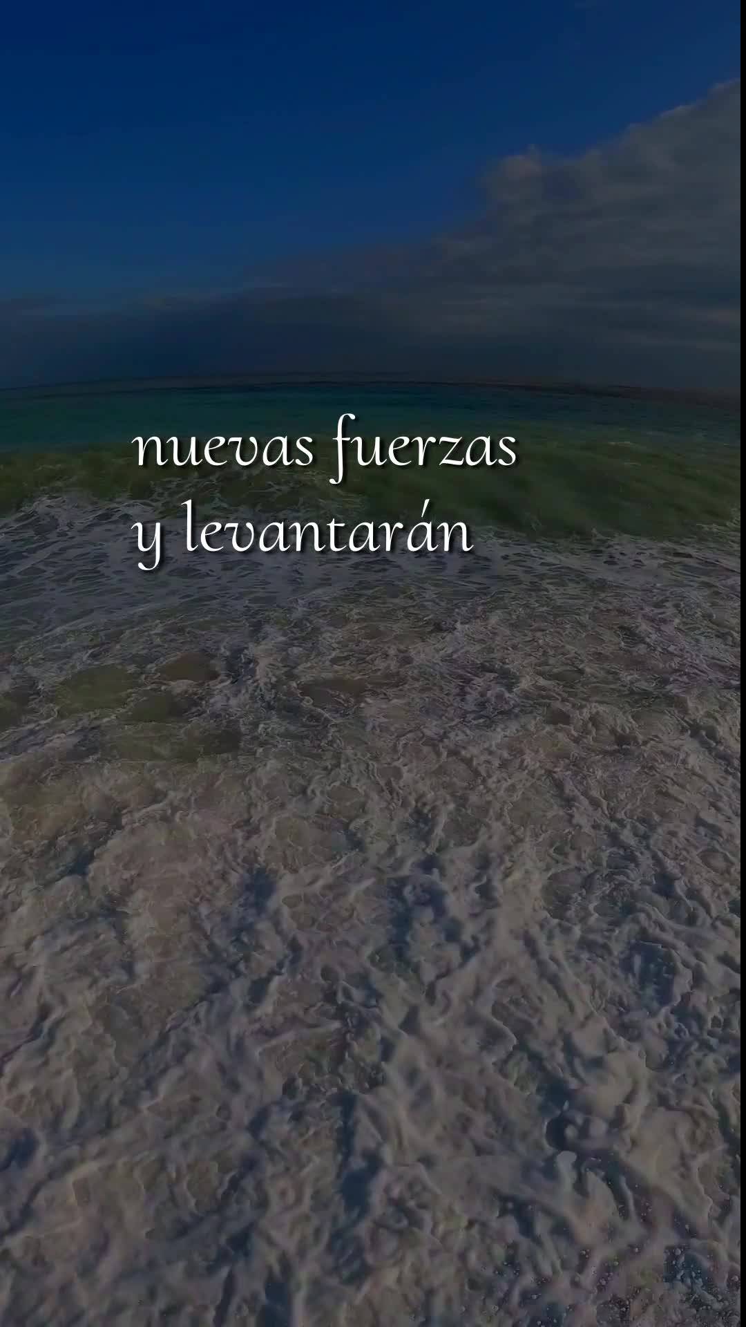 Deus, hoje é quinta-feira, meu pai, dia dezoito de junho de dois mil e vinte e seis, e antes que esse dia avance, eu paro para te agradecer. Bom dia, Se...