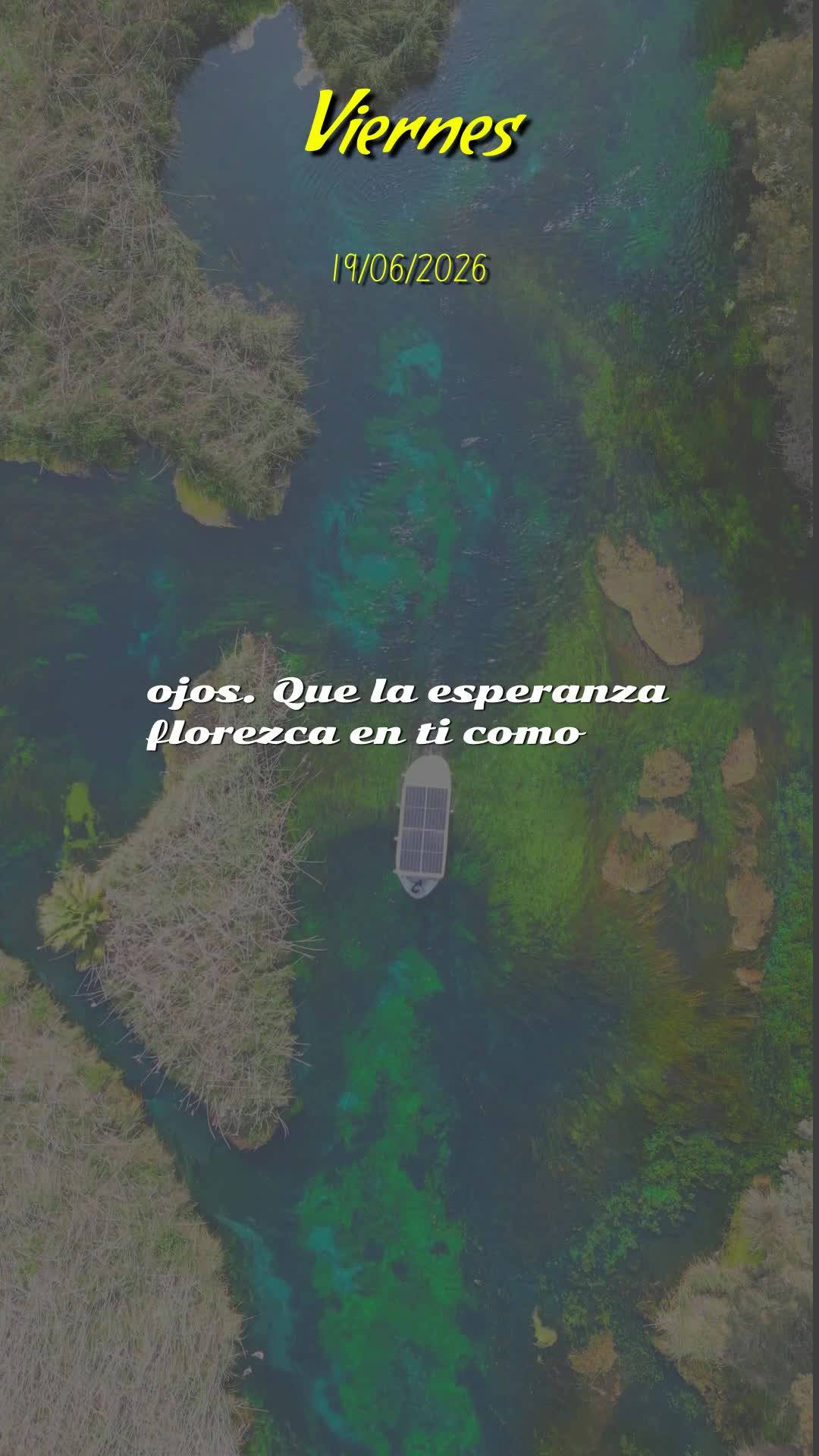 Bom dia! Nesta sexta-feira, dia 19 de Junho de 2026, que o céu se abra sobre a sua vida e derrame bênçãos sem medida. Que cada passo seu seja guiado ...