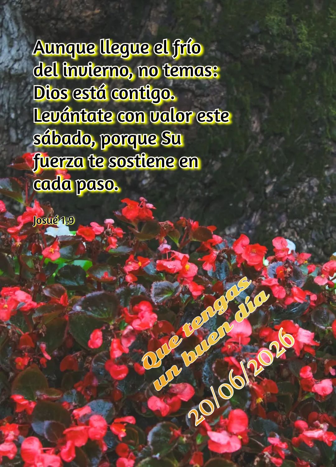 Neste sábado de descanso, confie: Deus tem planos de bem para você. Não desista, pois mesmo no inverno mais frio, dias melhores e mais quentes virão....
