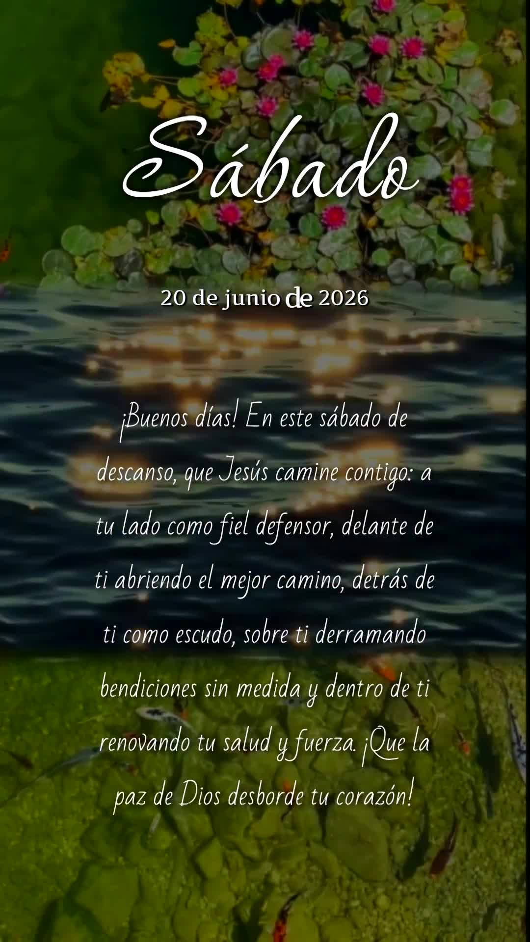 Bom dia! Neste sábado de descanso, que Jesus caminhe contigo: ao teu lado como fiel defensor, à tua frente abrindo o melhor caminho, atrás de ti como ...