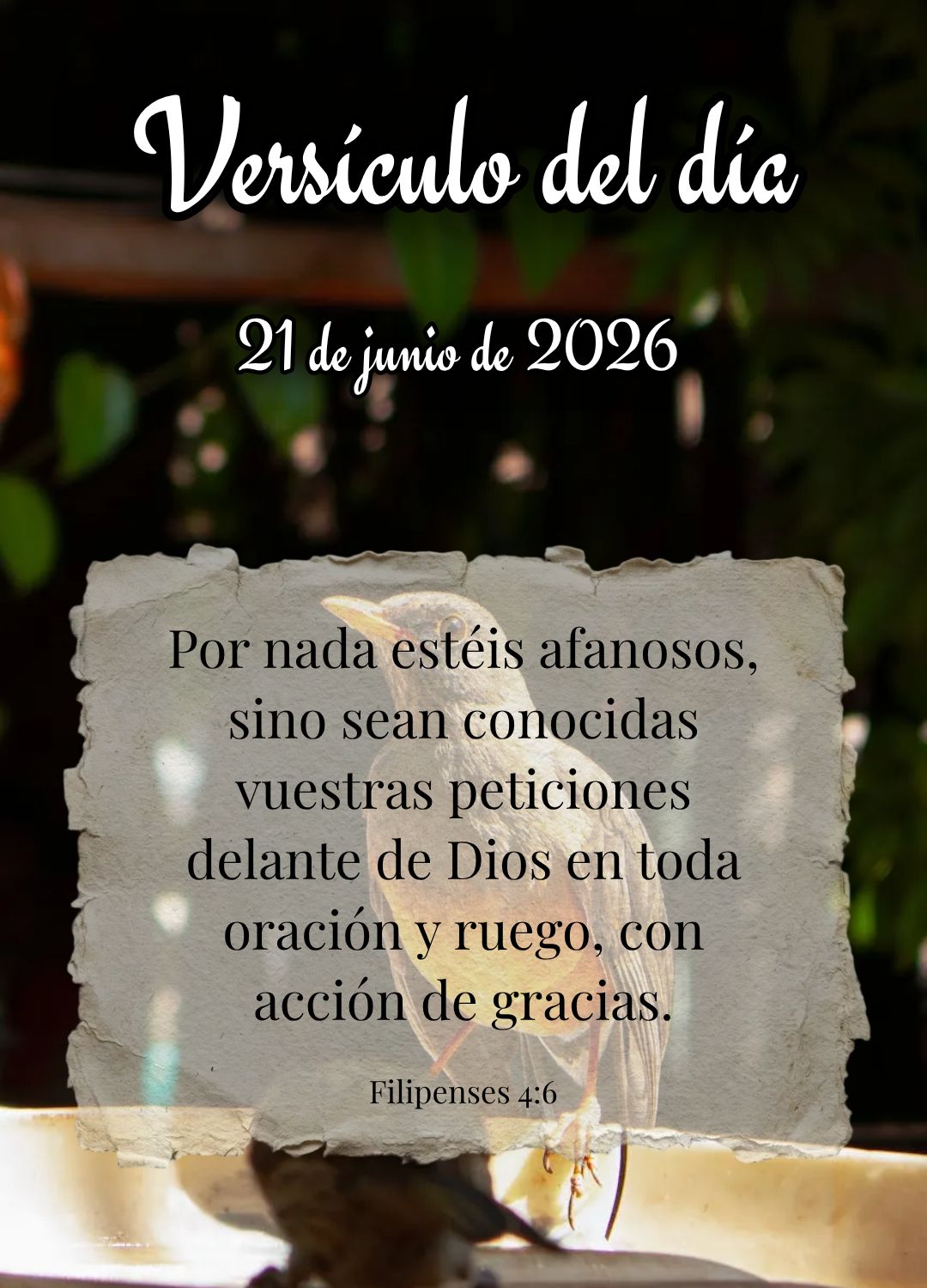 Não andeis ansiosos por coisa alguma; antes, em tudo, sejam os vossos pedidos conhecidos diante de Deus pela oração e súplica, com ações de graças...