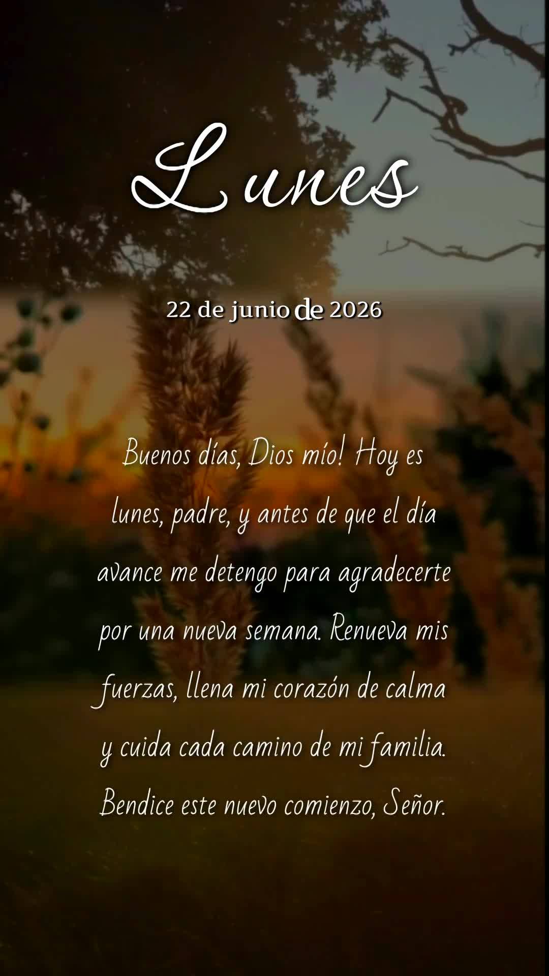 Deus, hoje é segunda-feira, meu pai, e bom dia! Antes que a semana avance, paro para te agradecer por mais um recomeço. Renova minhas forças, enche me...