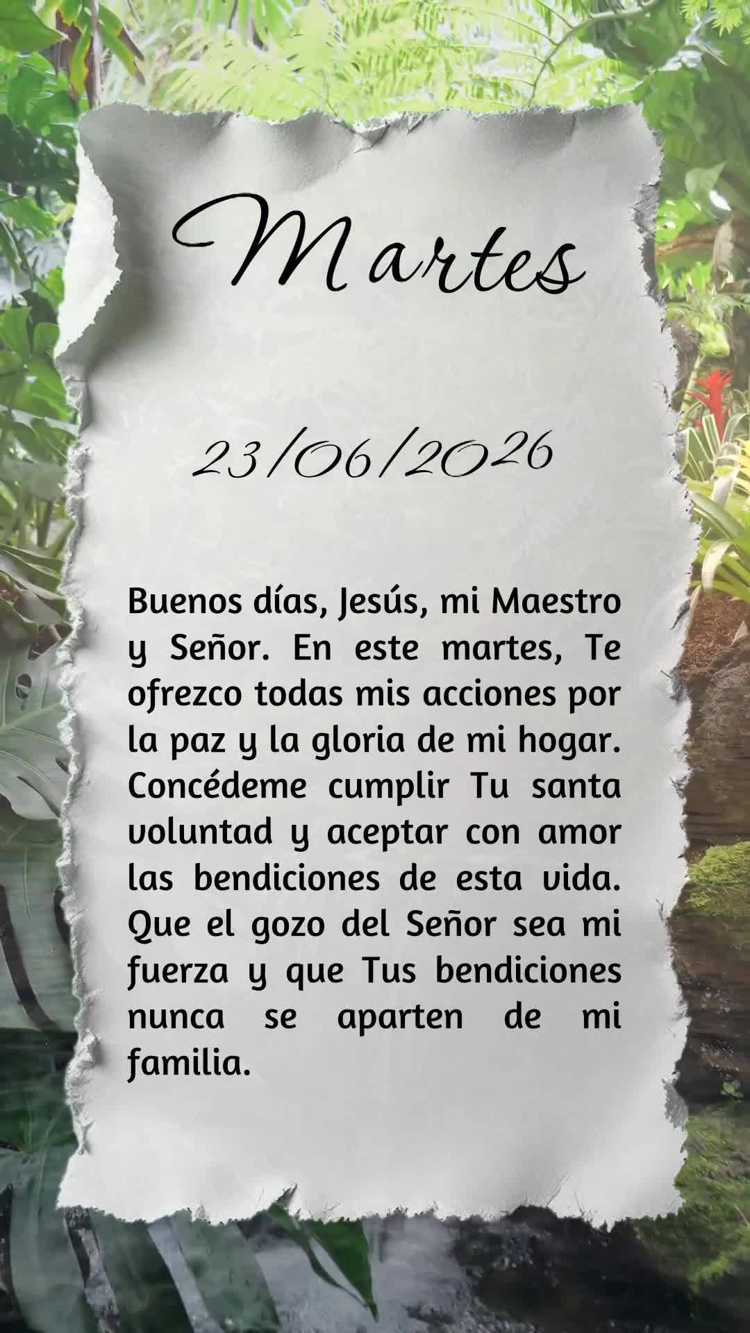 Bom dia, Jesus, meu Mestre e Senhor. Nesta terça-feira, ofereço-Te todas as minhas ações para a paz e a glória do meu lar. Concede-me cumprir Tua sa...
