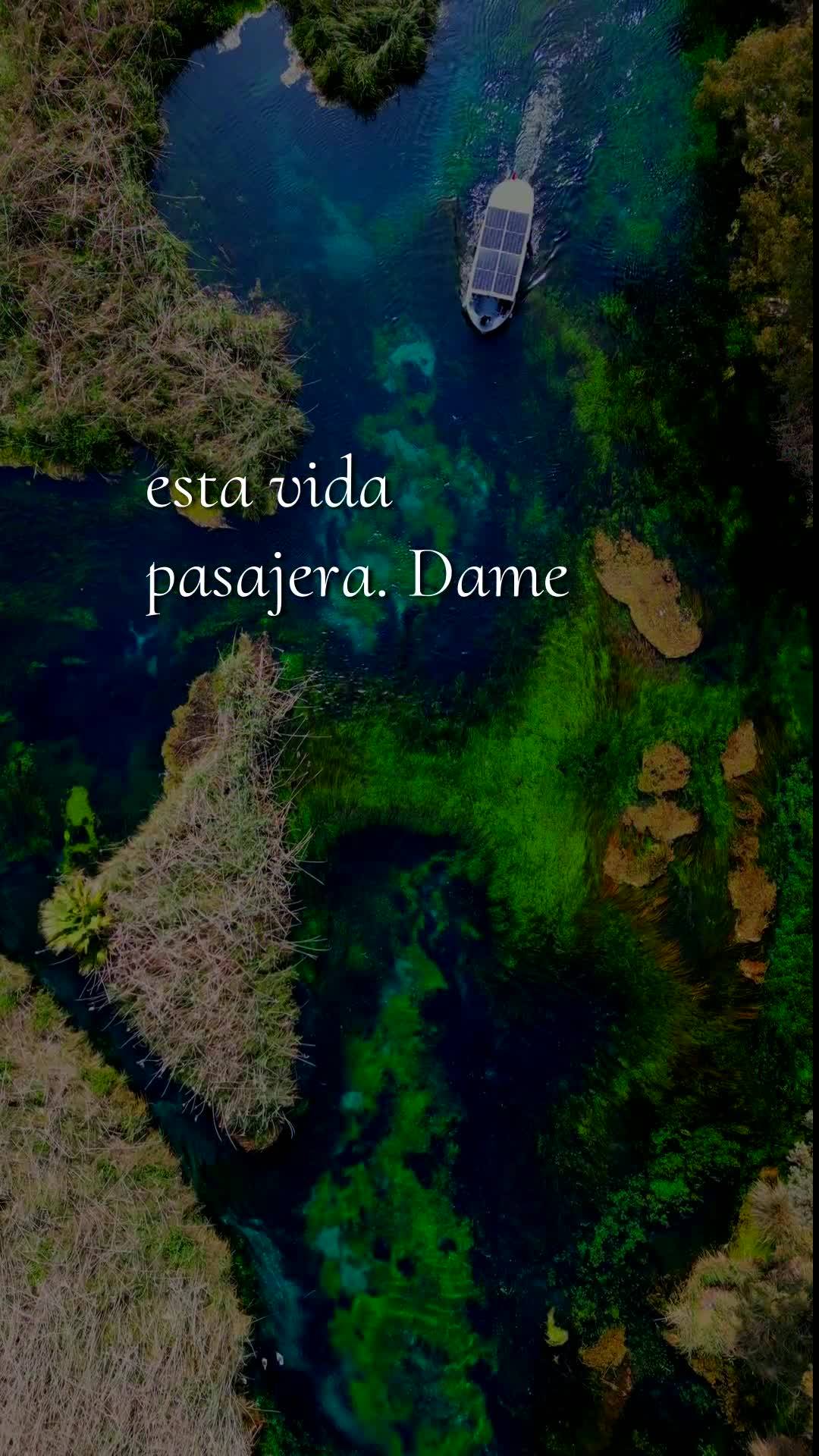 Bom dia, Jesus, meu Mestre e Senhor. Mais uma manhã começa, nesta quarta-feira, 24 de Junho de 2026, e eu Te ofereço todas as minhas ações deste dia...