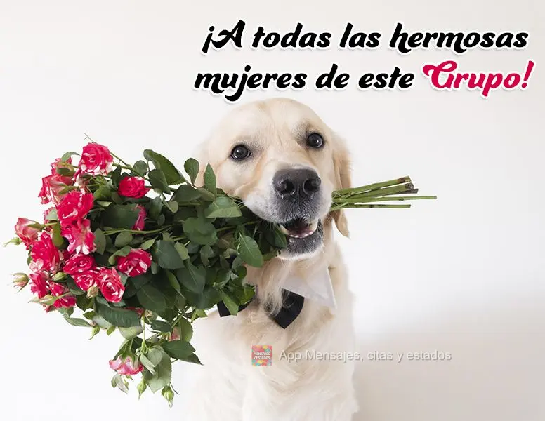 ¡A todas las hermosas mujeres de este Grupo!