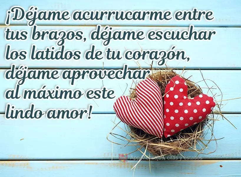 ¡Déjame acurrucarme entre tus brazos, déjame escuchar los latidos de tu corazón, déjame aprovechar al máximo este lindo amor!