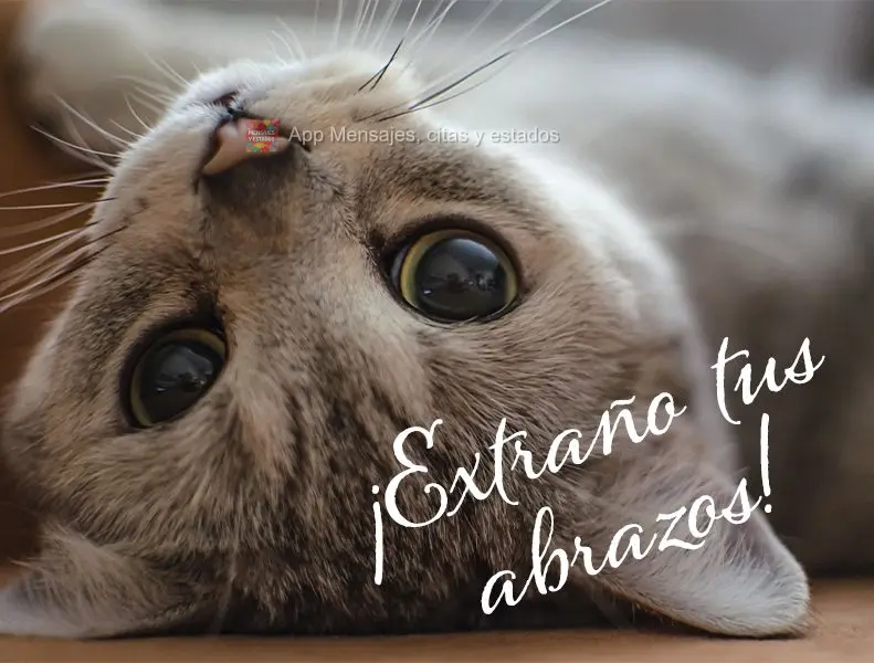 ¡Extraño tus abrazos!