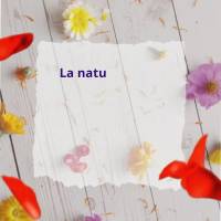 La naturaleza es sabia y las flores son sus mensajeras, enseñándonos sobre el amor y la renovación.