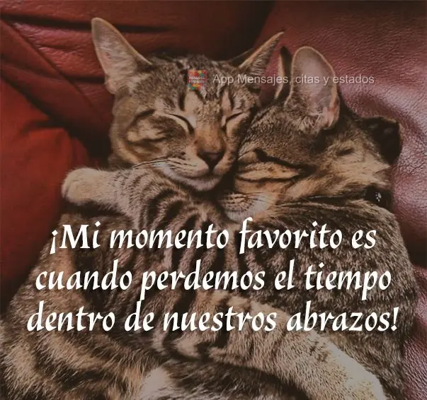 ¡Mi momento favorito es cuando perdemos el tiempo dentro de nuestros abrazos!