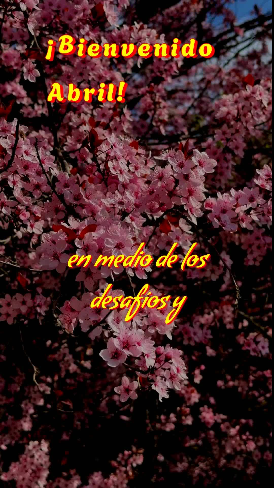 ¡Bienvenido Abril!