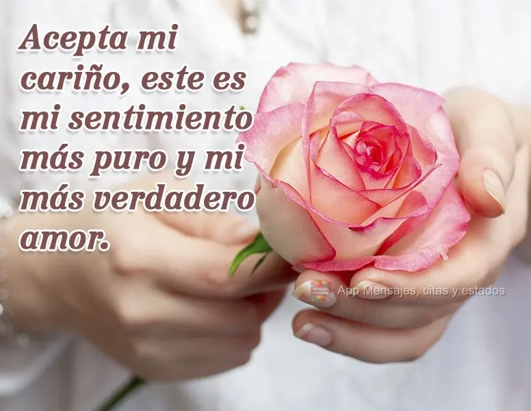Acepta mi cariño, este es mi sentimiento más puro y mi más verdadero amor.