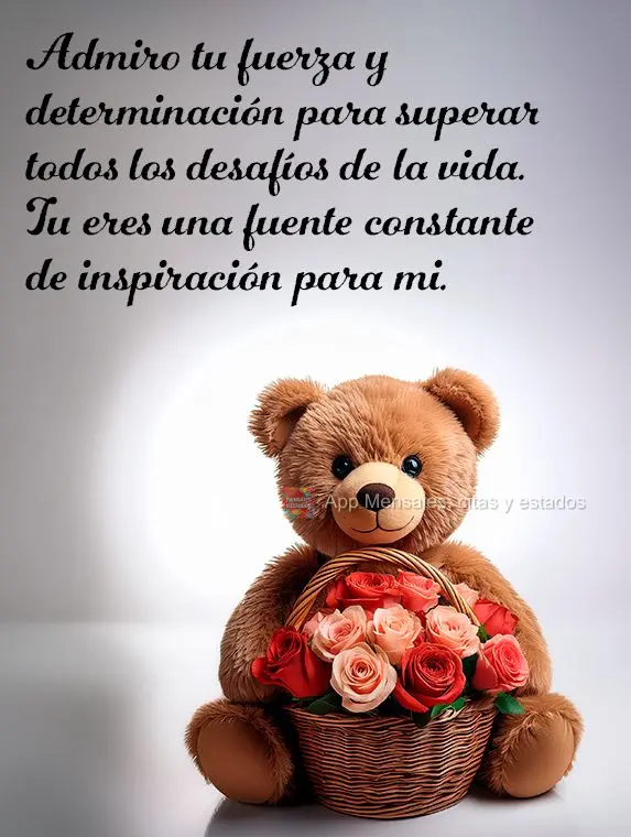 Admiro tu fuerza y determinación para superar todos los desafíos de la vida. Tu eres una fuente constante de inspiración para mi.
