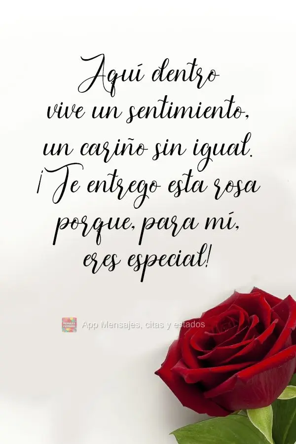 Aquí dentro vive un sentimiento, un cariño sin igual. ¡Te entrego esta rosa porque, para mí, eres especial!