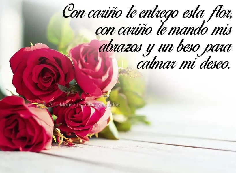 Con cariño te entrego esta flor, con cariño te mando mis abrazos y un beso para calmar mi deseo.