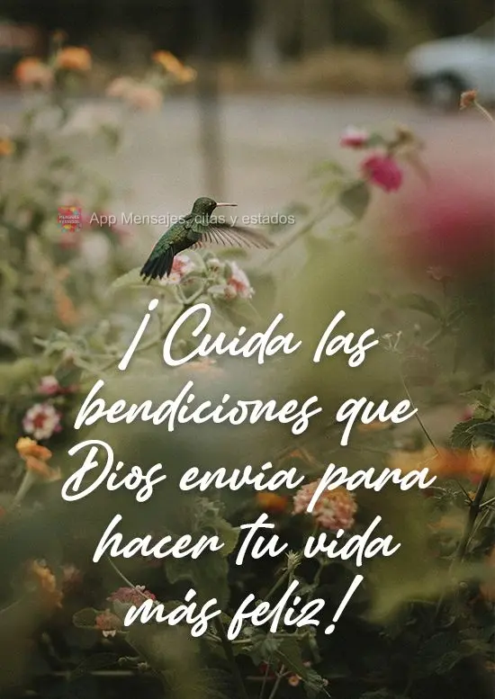 ¡Cuida las bendiciones que Dios envía para hacer tu vida más feliz!