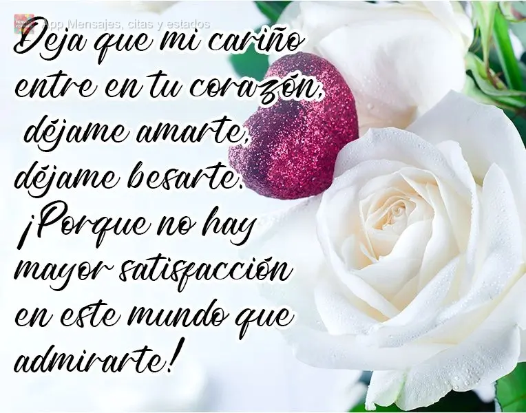 Deja que mi cariño entre en tu corazón, déjame amarte, déjame besarte. ¡Porque no hay mayor satisfacción en este mundo que admirarte!