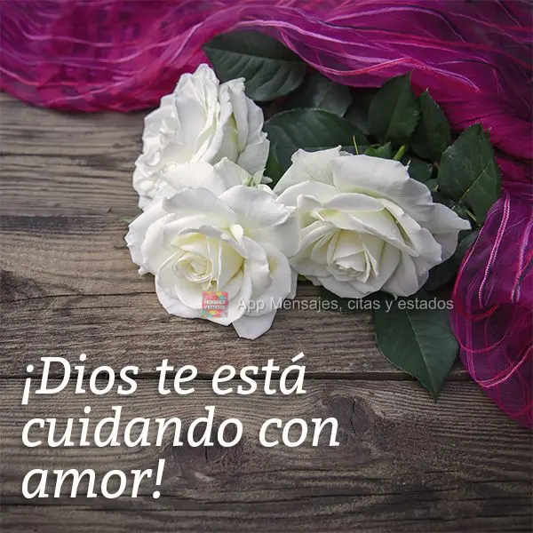 ¡Dios te está cuidando con amor!