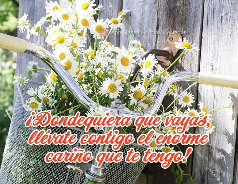 ¡Dondequiera que vayas, llévate contigo el enorme cariño que te tengo!