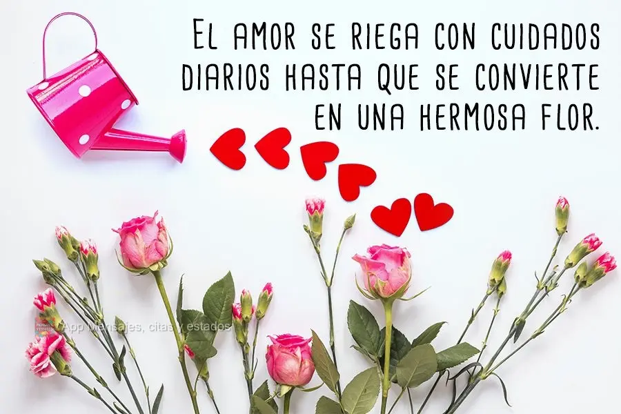 El amor se riega con cuidados diarios hasta que se convierte en una hermosa flor.