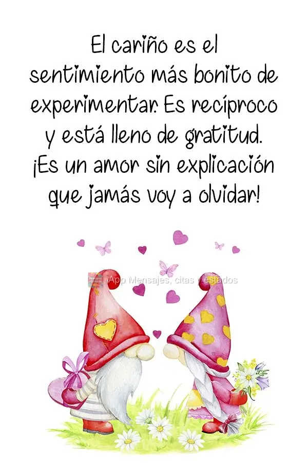 El cariño es el sentimiento más bonito de experimentar. Es recíproco y está lleno de gratitud. ¡Es un amor sin explicación que jamás voy a olvidar...
