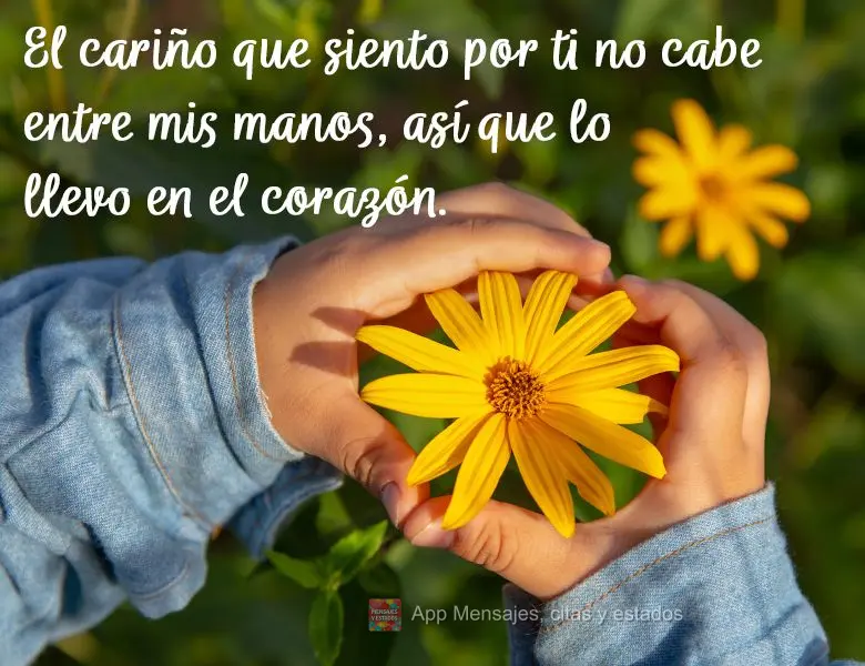 El cariño que siento por ti no cabe entre mis manos, así que lo llevo en el corazón.