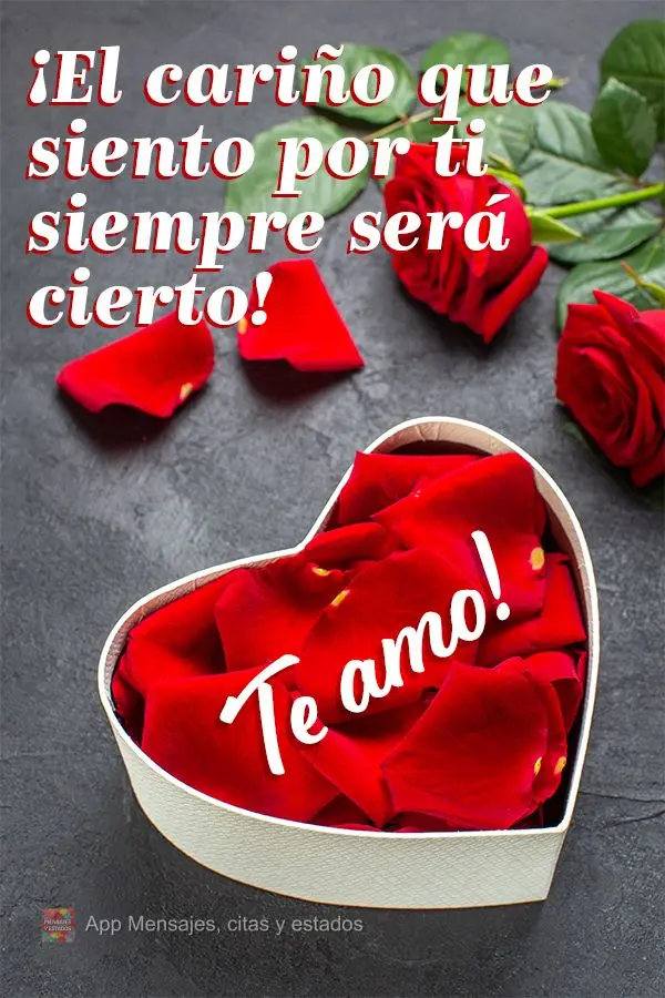 ¡El cariño que siento por ti siempre será cierto! ¡Te amo!
