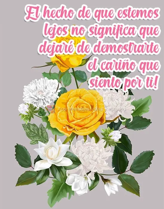 ¡El hecho de que estemos lejos no significa que dejaré de demostrarte el cariño que siento por ti!