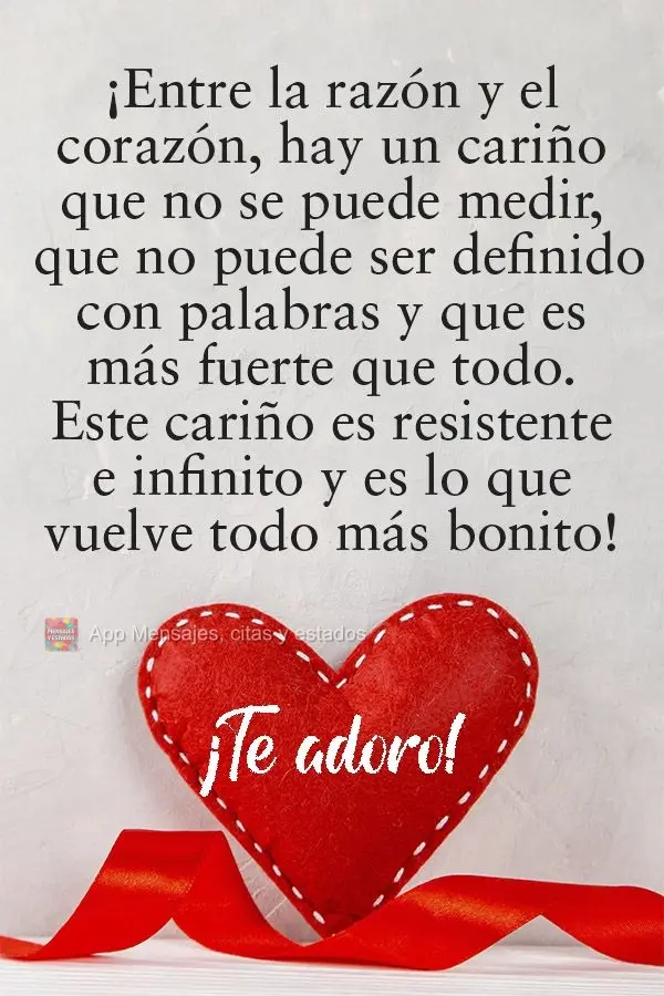 ¡Entre la razón y el corazón, hay un cariño que no se puede medir, que no puede ser definido con palabras y que es más fuerte que todo. Este cariño...