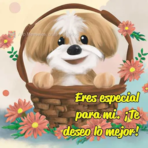 Eres especial para mi. ¡Te deseo lo mejor!