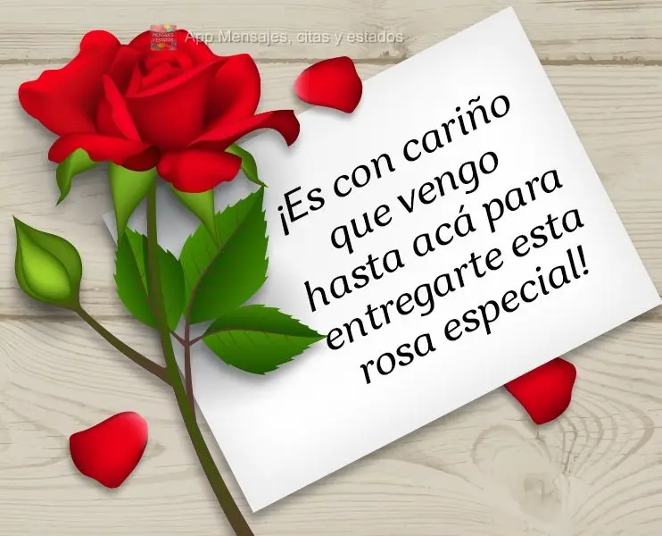¡Es con cariño que vengo hasta acá para entregarte esta rosa especial!