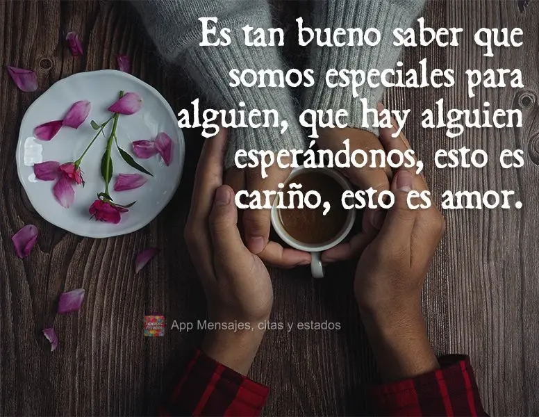 Es tan bueno saber que somos especiales para alguien, que hay alguien esperándonos, esto es cariño, esto es amor.