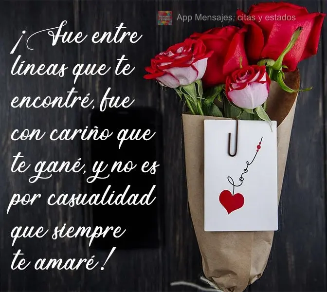 ¡Fue entre líneas que te encontré, fue con cariño que te gané, y no es por casualidad que siempre te amaré!
