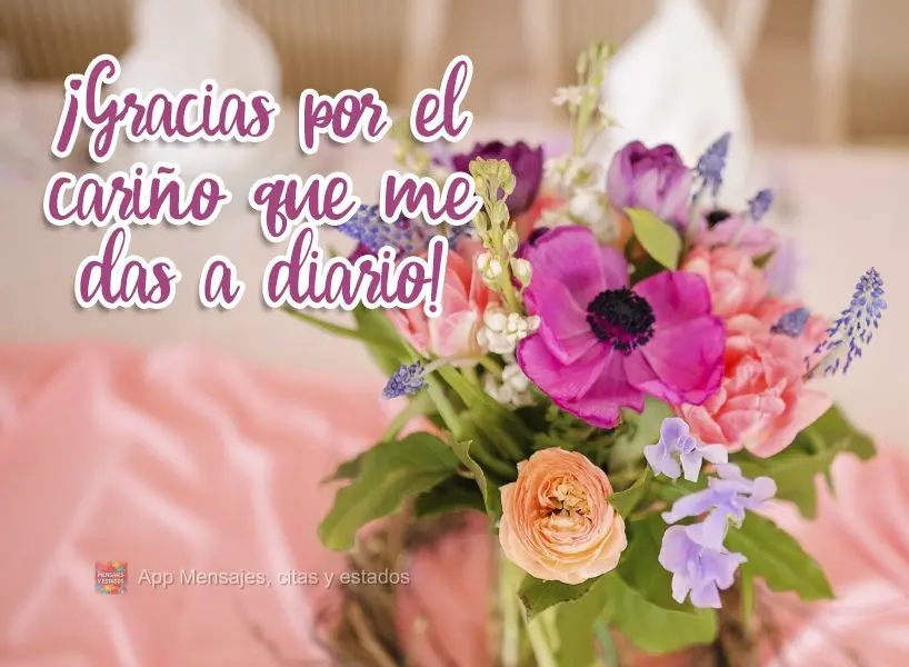 ¡Gracias por el cariño que me das a diario!