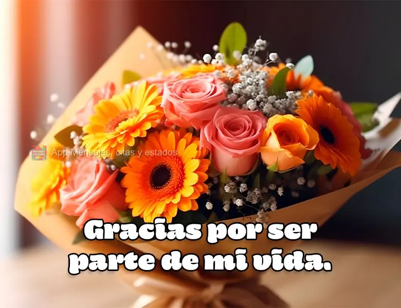 Gracias por ser parte de mi vida.