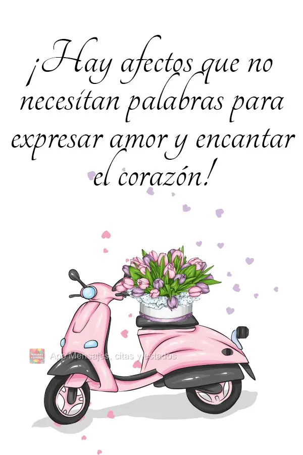 ¡Hay afectos que no necesitan palabras para expresar amor y encantar el corazón!
