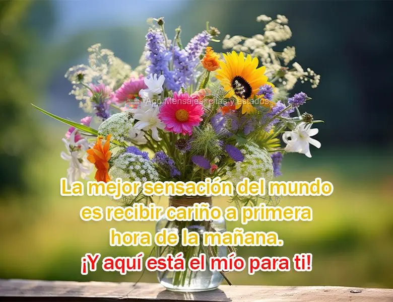 La mejor sensación del mundo es recibir cariño a primera hora de la mañana. ¡Y aquí está el mío para ti!
