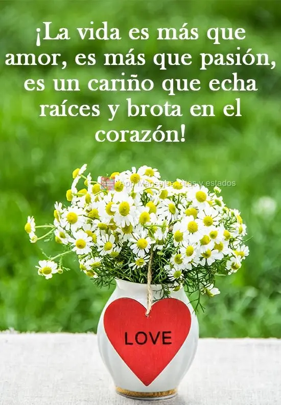 ¡La vida es más que amor, es más que pasión, es un cariño que echa raíces y brota en el corazón!