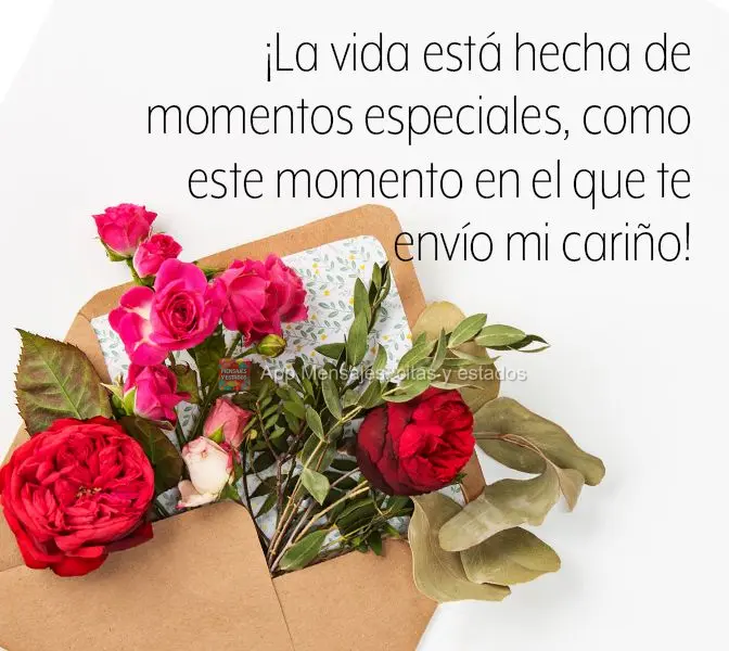 ¡La vida está hecha de momentos especiales, como este momento en el que te envío mi cariño!