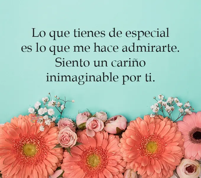 Lo que tienes de especial es lo que me hace admirarte. Siento un cariño inimaginable por ti.