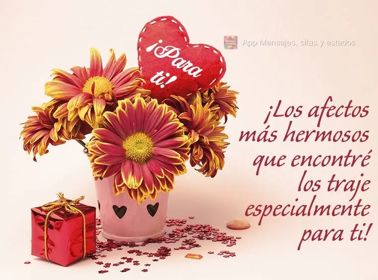 ¡Los afectos más hermosos que encontré los traje especialmente para ti! ¡Para ti!