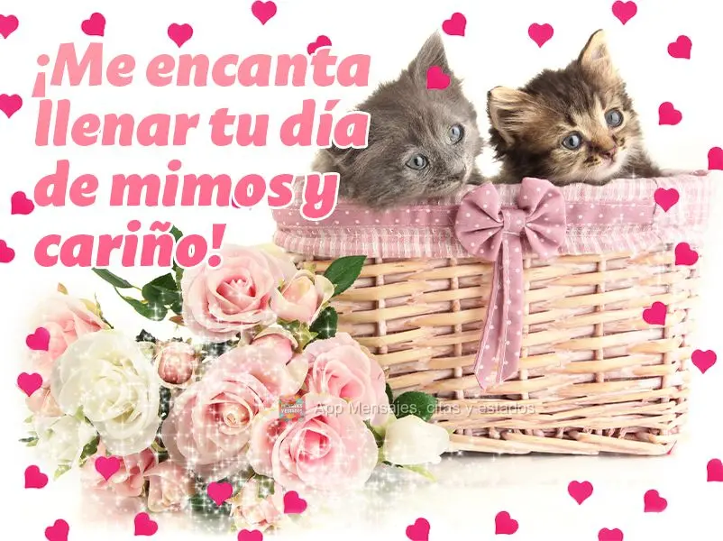 ¡Me encanta llenar tu día de mimos y cariño!